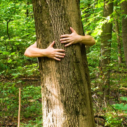 Il giardinaggio è diventato come il sesso
