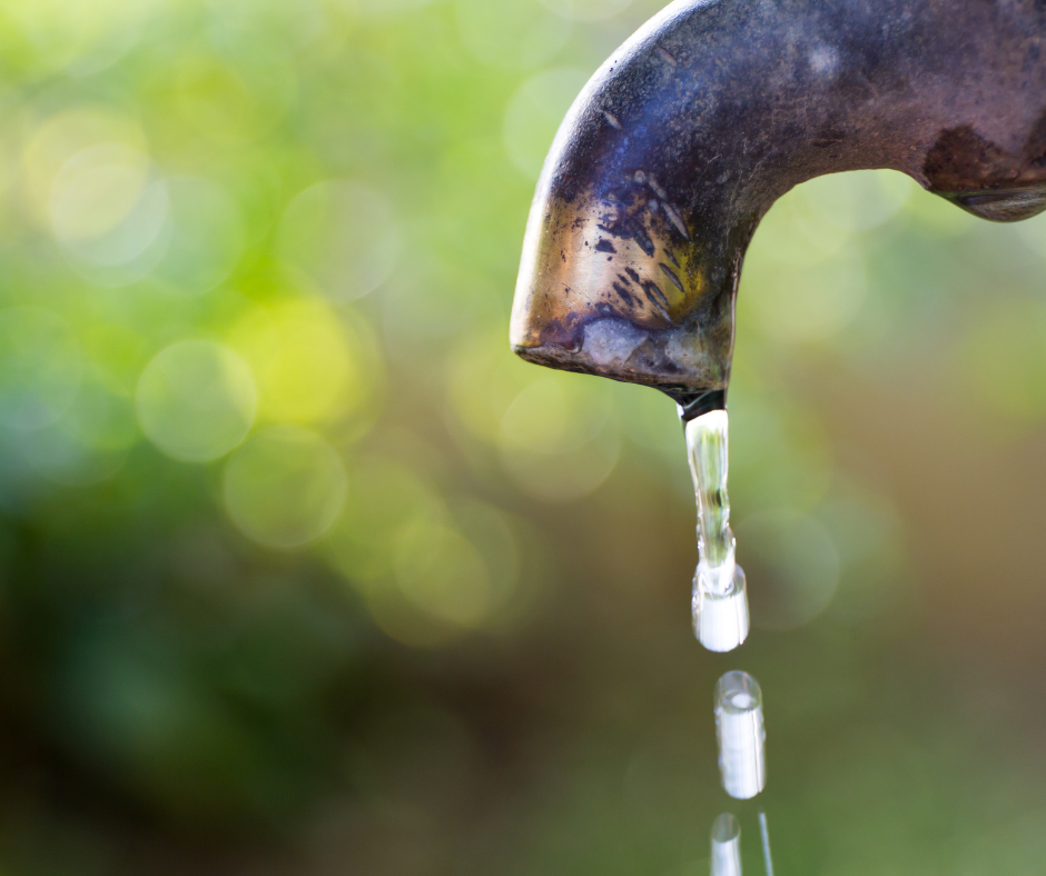 Come preservare l’acqua in giardino