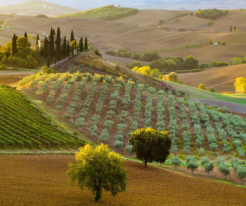 Riflessioni sul Paesaggio e il Tuo Contributo Ambientale